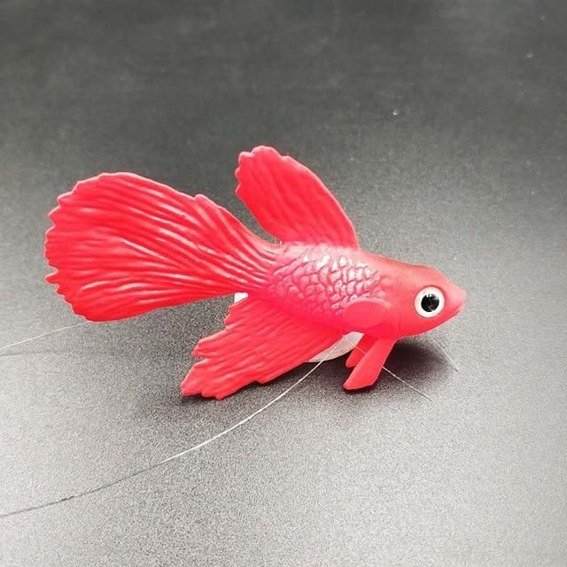 1 st fightfish red
