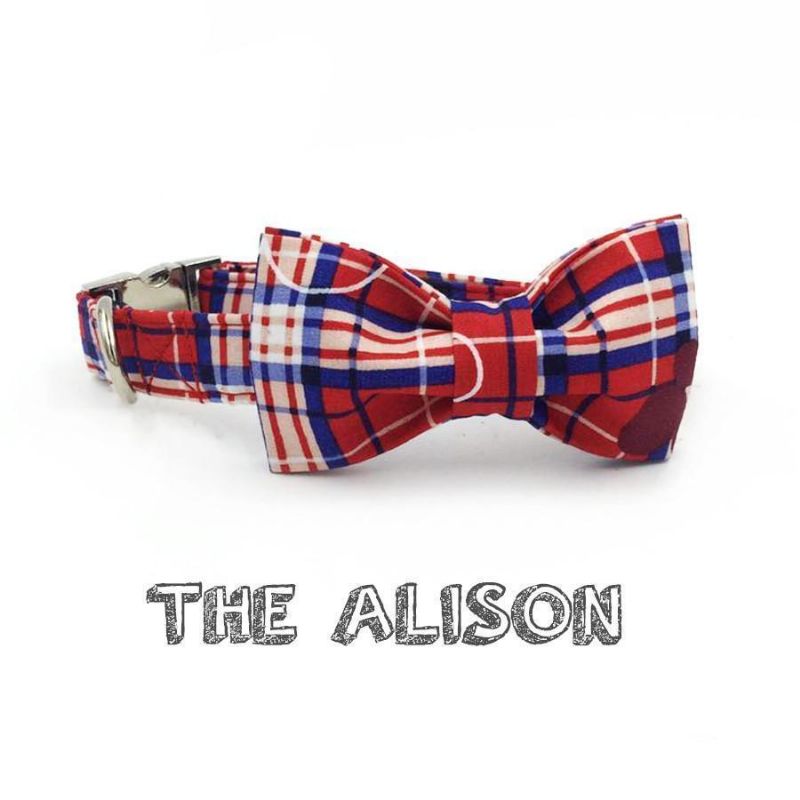 Allison Mode Husdjur Uppsättning Krage Och Koppel
