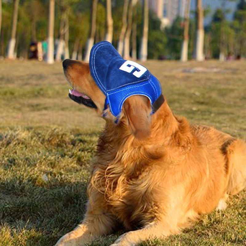 Andas Söt Hund Baseball Solhatt Med Öronhål