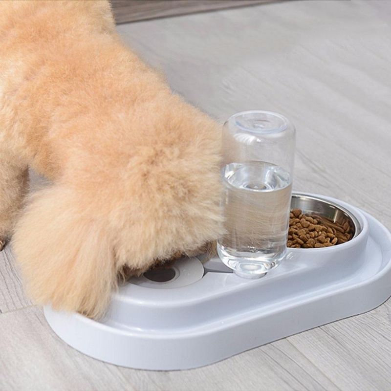 Automatisk Matning För Husdjur Med Dubbla Skålar