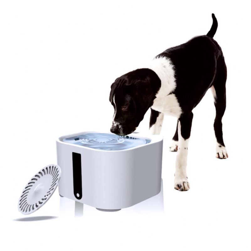 Automatisk Vattenmatare För Husdjur