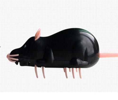 svart mus