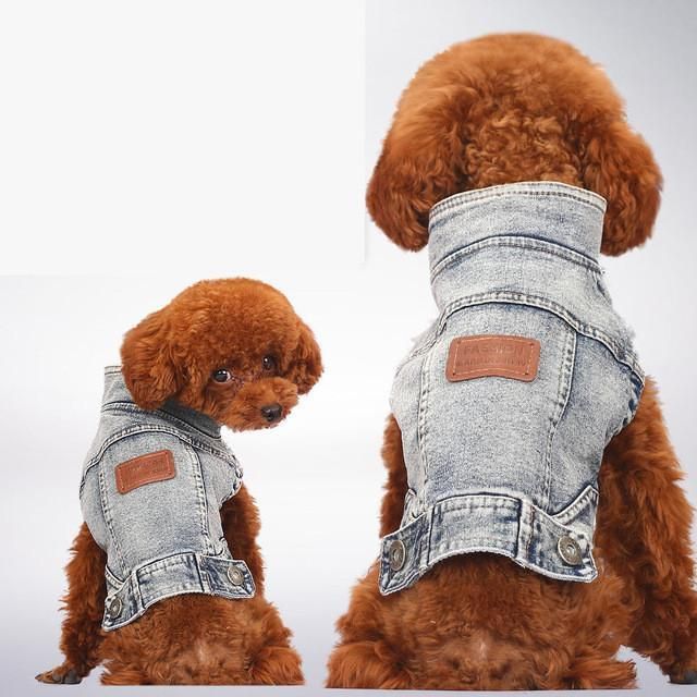 Blå Jean Sommar Denim Hundkläder