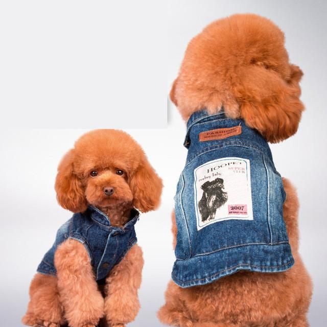 Blå Jean Sommar Denim Hundkläder