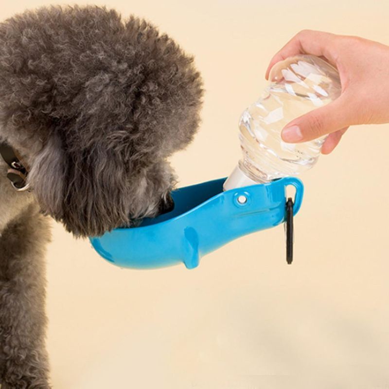 Dispenser För Hunddryckvatten För Dagliga Utomhusaktiviteter