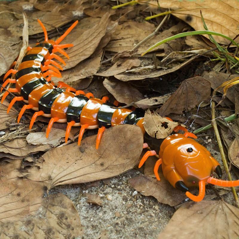 Elektrisk Centipede Katt Teaser Leksak Med Fjärrkontroll