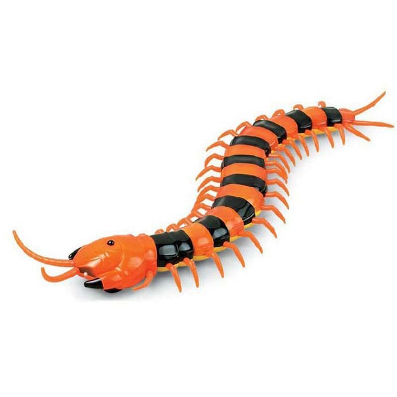 Elektrisk Centipede Katt Teaser Leksak Med Fjärrkontroll