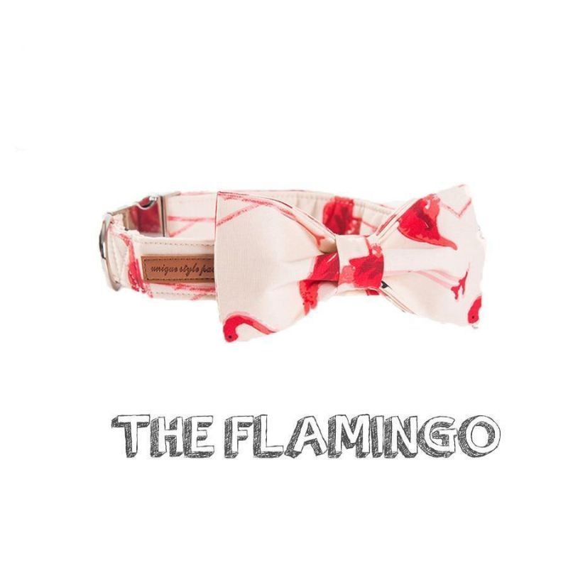 Flamingo Mode Husdjur Uppsättning Krage & Koppel