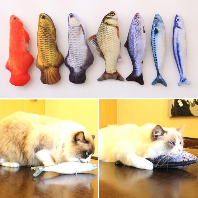 För Alla Katter Som Älskar Fiskar
