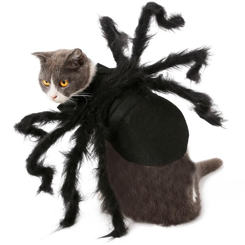 Halloween-dräkt För Spindeldjur
