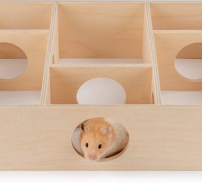 Hamsterhus Med Flera Kammare