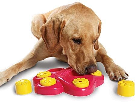 Hundens Interaktiva Spel Pussel Leksaker Matdispenser