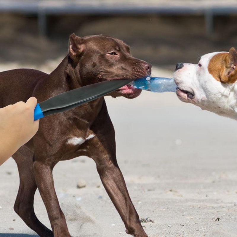 Hundspecialistpinne