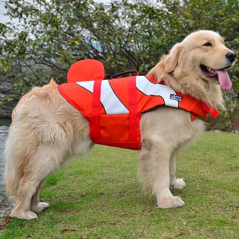 Hundtema Säkerhets Flytväst