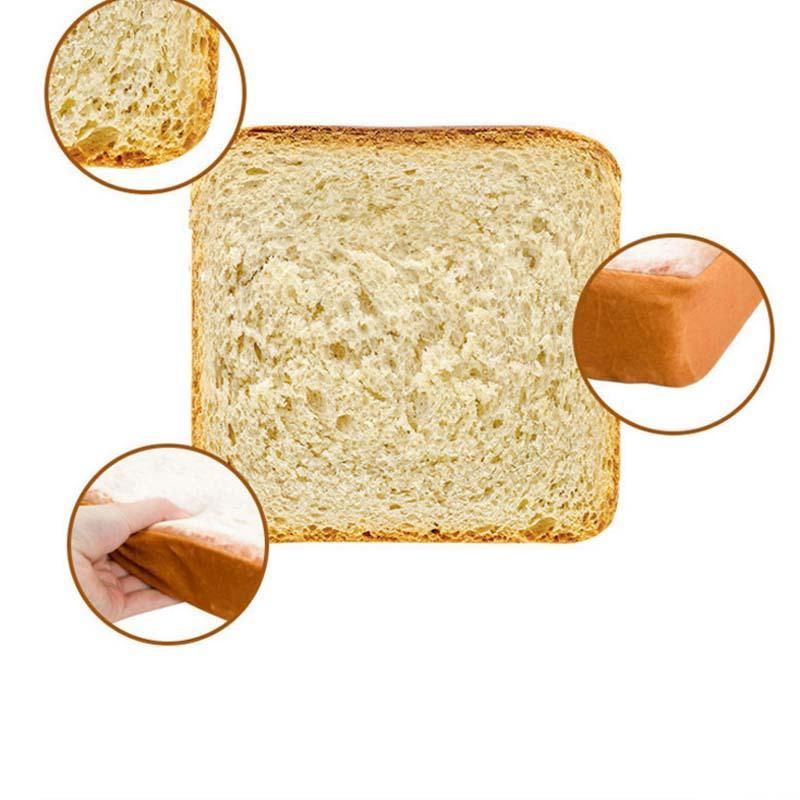 Introducera Toastbrödkattbädden