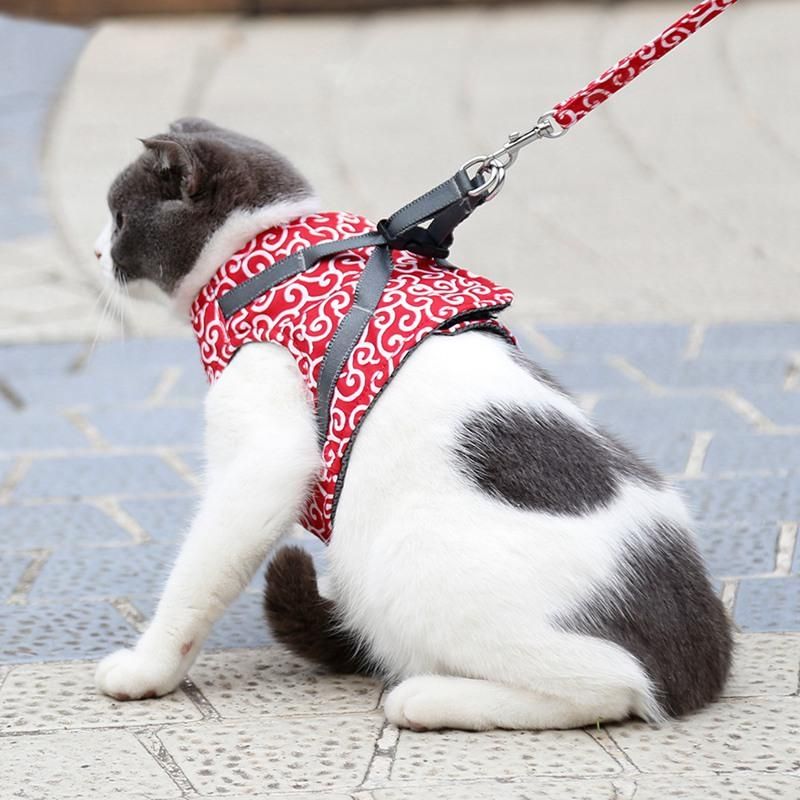 Kattvästsele Och Koppeluppsättning