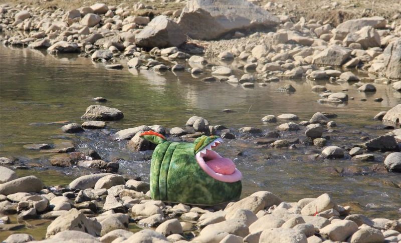 Krokodil Husdjurssäng Med Avtagbar Kudde Och Vattentät Botten