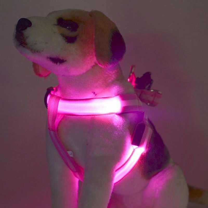 Ledd Blinkande Ljus Sele För Husdjur