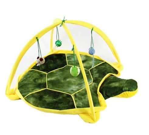  sköldpadda