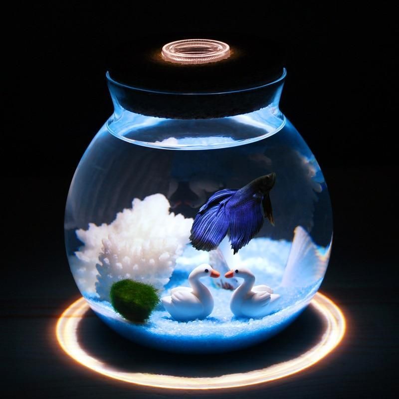 Mini Betta Akvarium Med Små Lampor