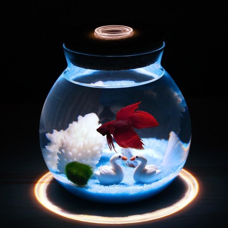 Mini Betta Akvarium Med Små Lampor