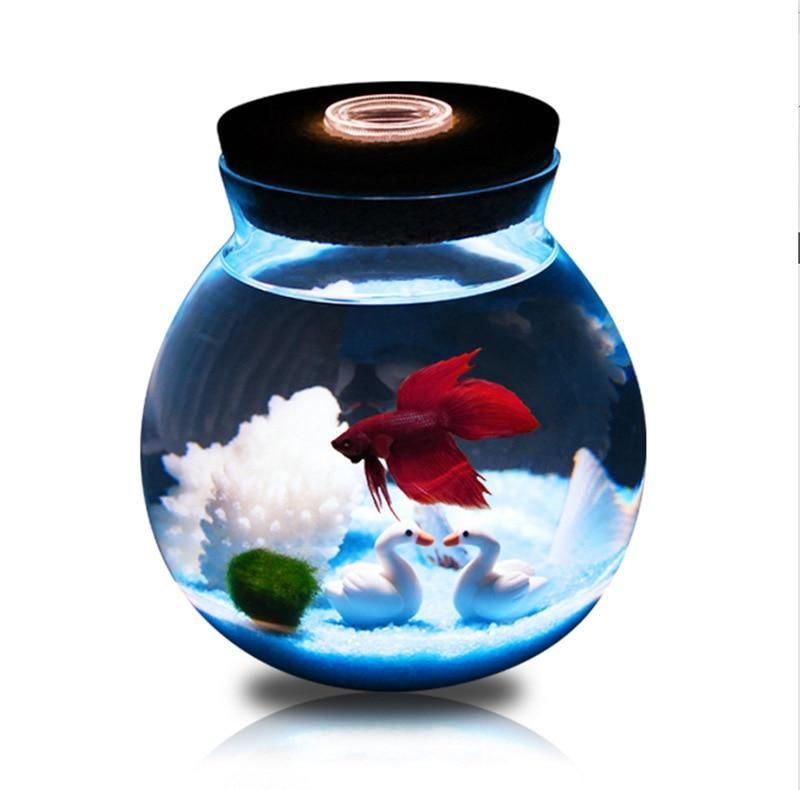 Mini Betta Akvarium Med Små Lampor