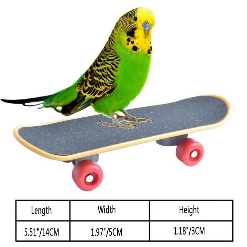 Mini Skateboard Stativ Abborre För Fågel