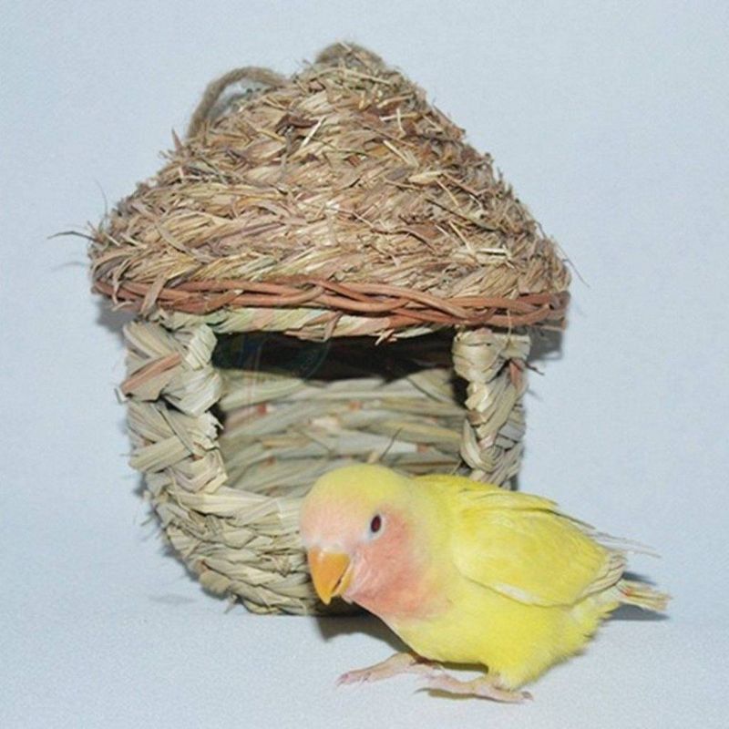 Naturlig Papegoja Mysig Varm Med Konstgjord Vävt Hål