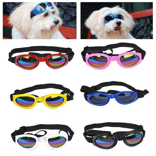 Ögonskyddsglasögon För Hund