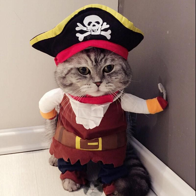 Piratdräkt Kattdräktdräkt Som Klär På Festkläder