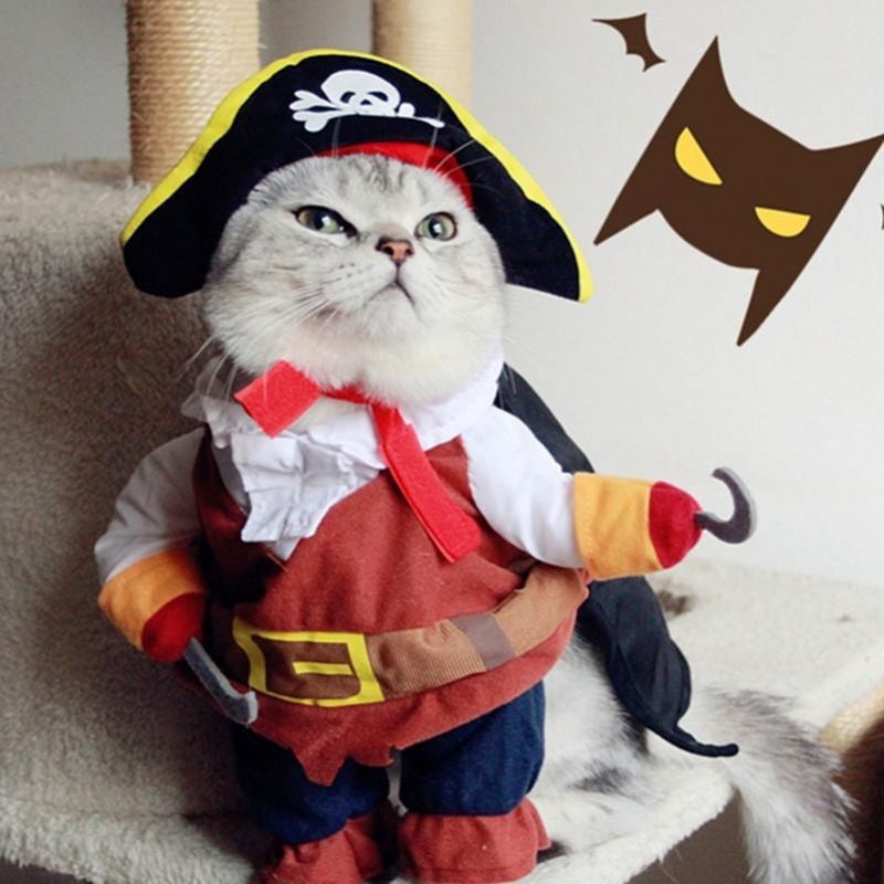 Piratdräkt Kattdräktdräkt Som Klär På Festkläder