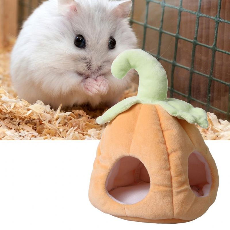 Pumpa Design Hamster Bur