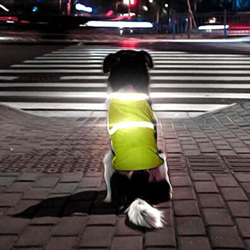 Reflekterande Västar För Husdjur