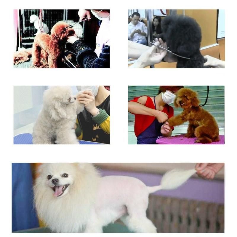 Sax För Husdjursvård
