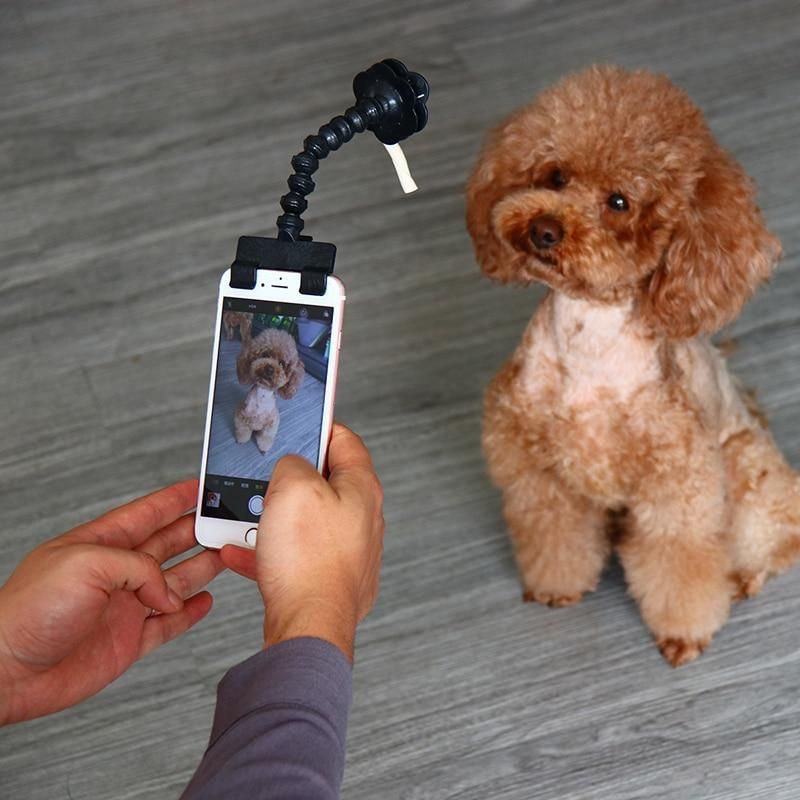 Selfie Stick För Husdjur