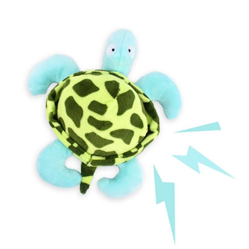 Sköldpaddsformad Hund Som Gnisslar