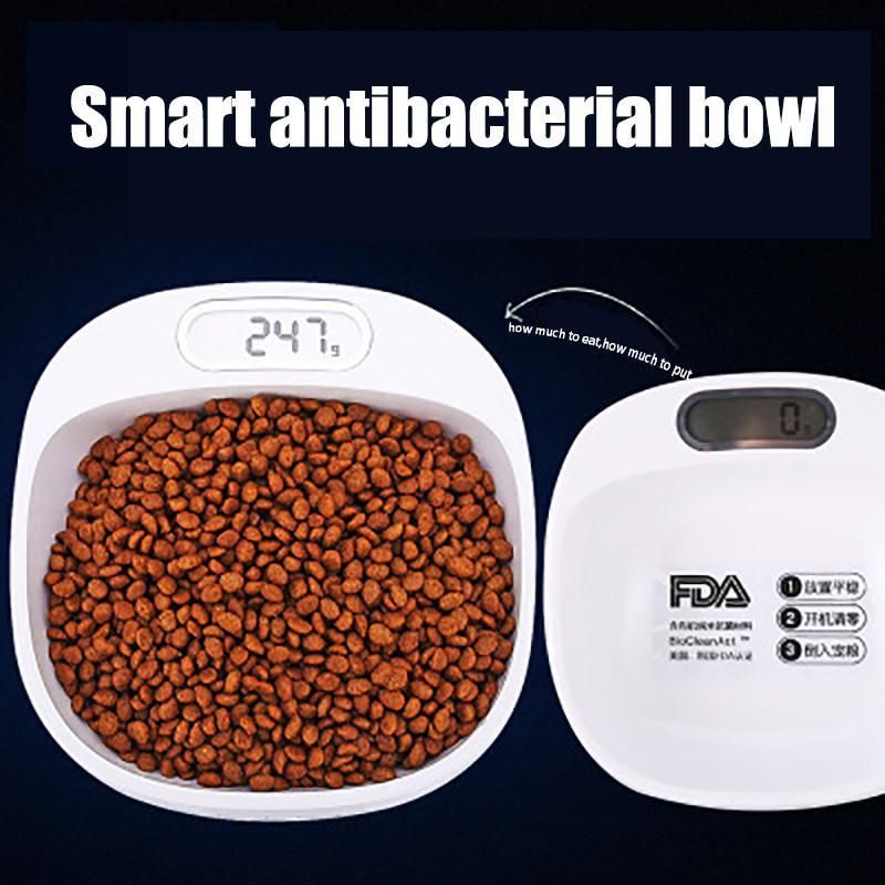 Smart Antibakteriell Kattmatskål
