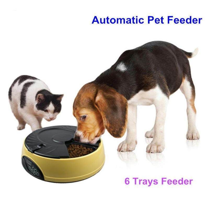 Smart Automatisk Påminnelseskål För Mat För Mat För Husdjur