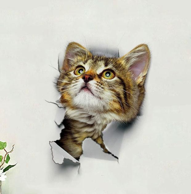 Snyggt 3d Katt Konst Klistermärken Heminredning