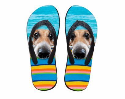 Söta Hundtryck Strandflip Flops Platta Tofflor