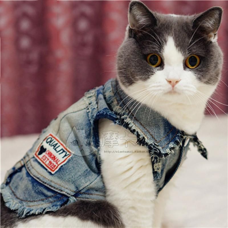 Söta Varmare Fyra Ben Katt Denim Kläder