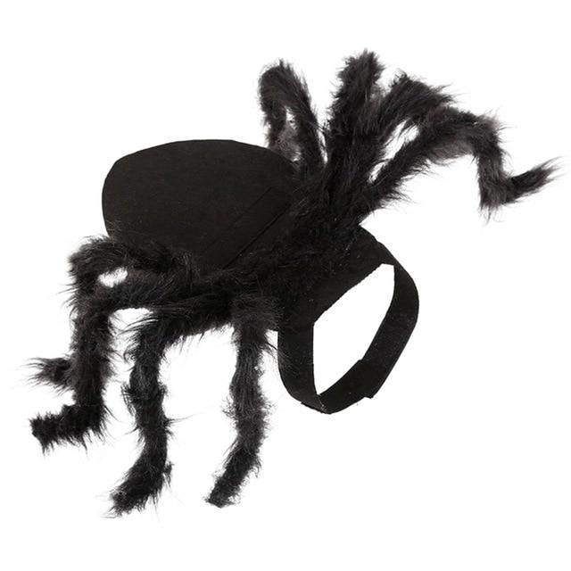Spindel Husdjur Halloween Kostym