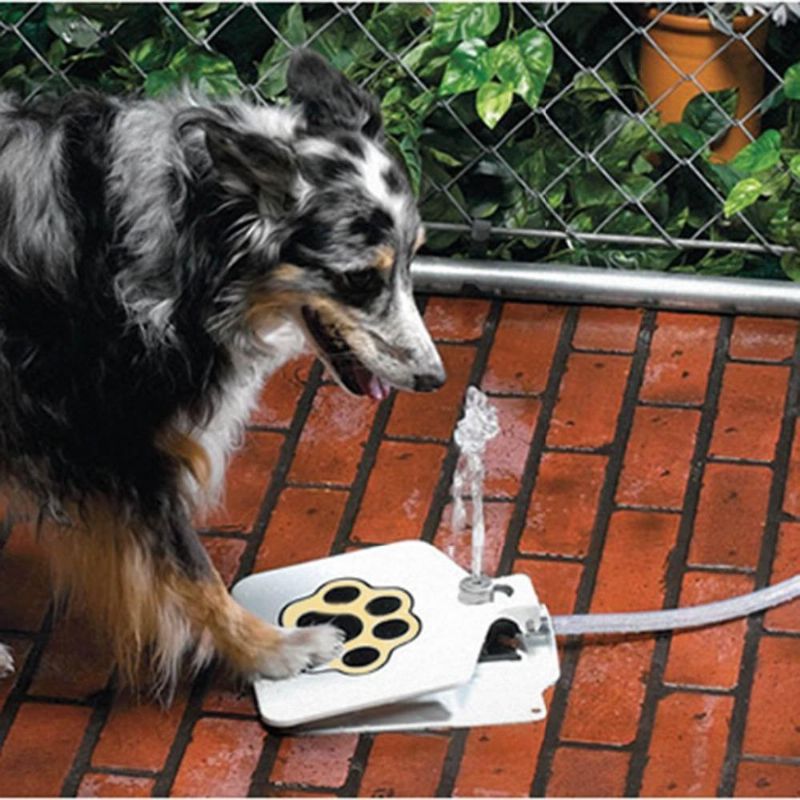 Sprinkler För Dricksvatten För Husdjur Utomhus