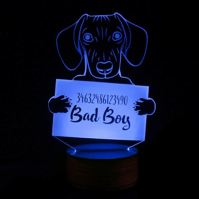 Taxhund Mugshot 3d-ljus